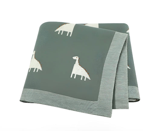 Baby Dino Blanket - Green